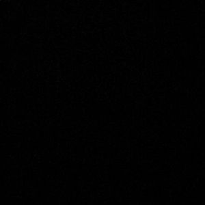 Meet your Posher, Curtis